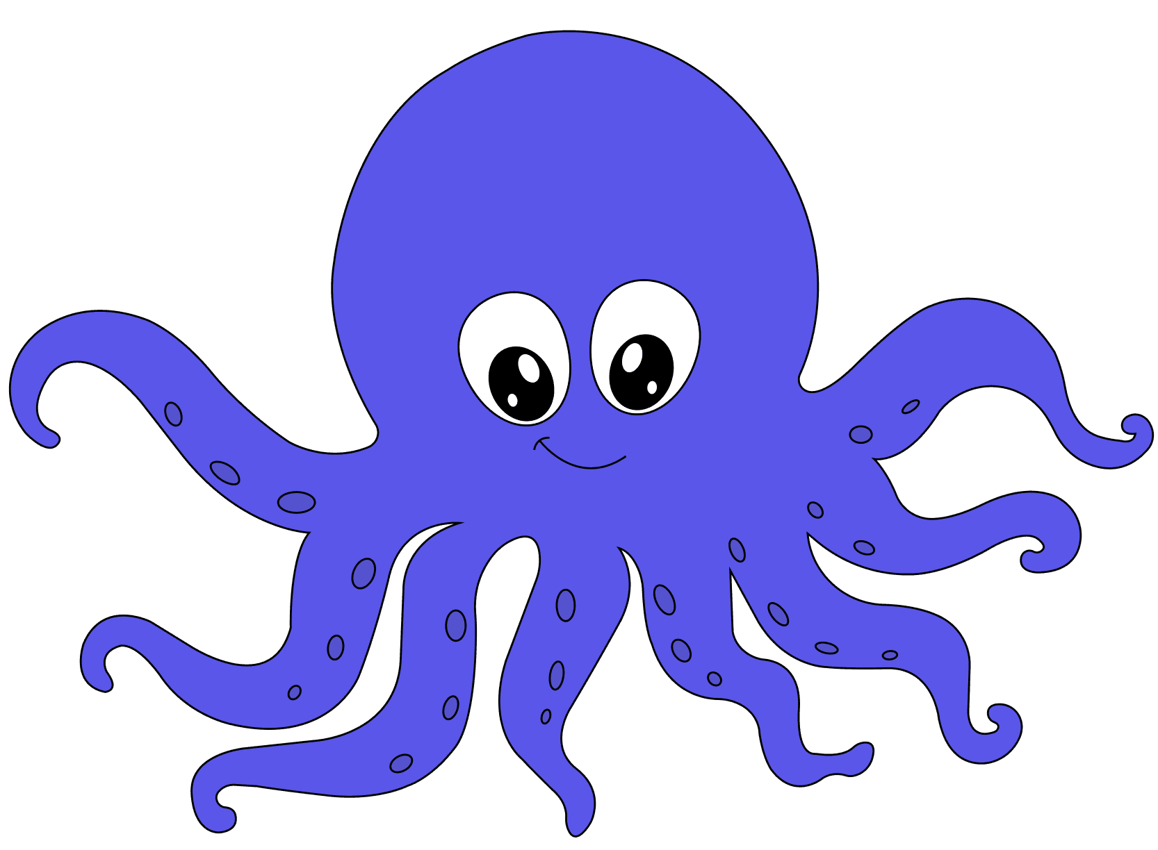 Octopus Image